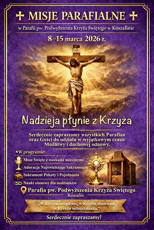 PLAN MISJI PARAFIALNYCH grafika