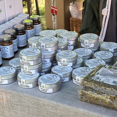 Festyn Parafialny 2025 - fotogaleria grafika