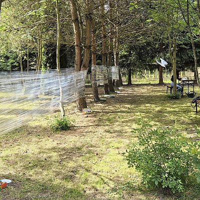 Festyn z okazji 75 lat od erygowania Parafii pw. Podwyższenia Krzyża Świętego grafika